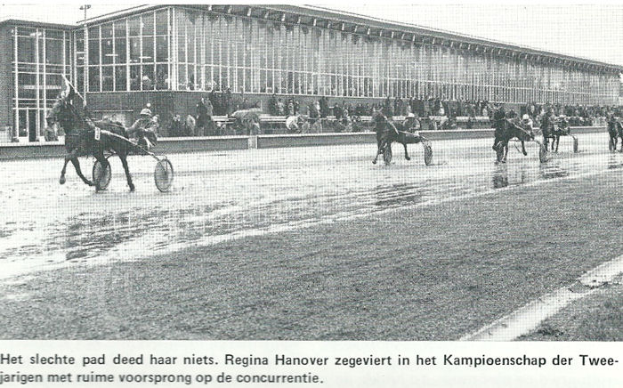 Regina Hanover Kamp 2-jar.jpg