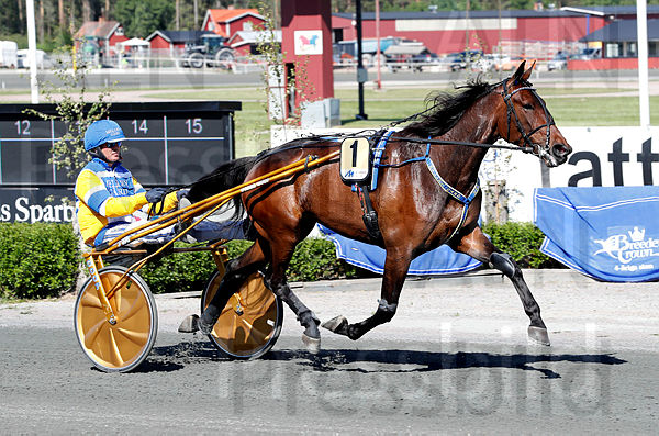 Mellby Free heat 1.t5eee0ede.m600.w.4salnwmark2.png.x6hcQQACD.jpg
