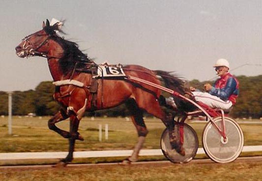 Worthy Boy Laren 01.jpg