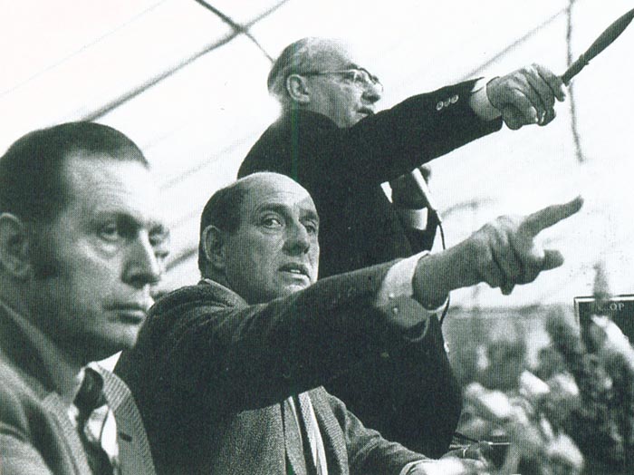 Schoonderwoerd veiling.jpg