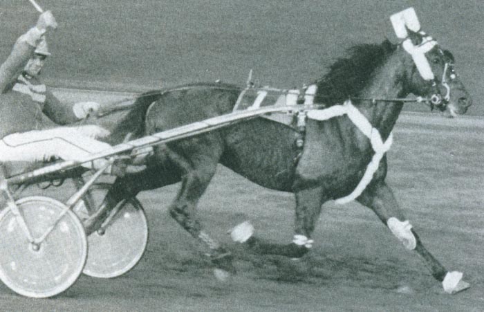 Ian Zorgwijk 1994.jpg