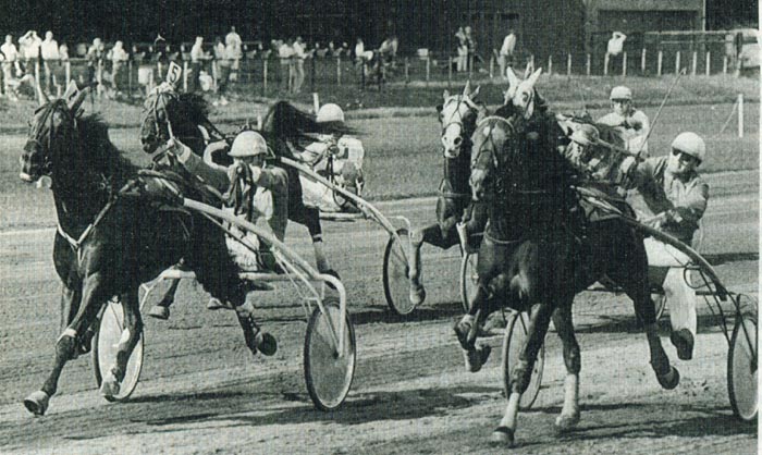 Zeus en Zorg dead heat in KNHRV 1986.jpg