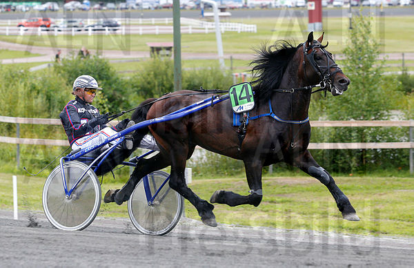 Bellfaks heat 1.t6160693e.m600.w.4salnwmark2.png.xk7_Wwj1C.jpg