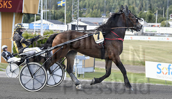 Don Viking heat.t5f4bc993.m600.w.4salnwmark2.png.x-f-181jS.jpg