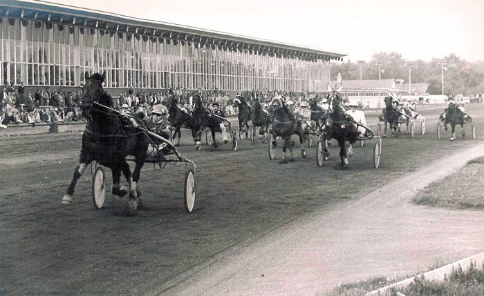 Meadow Frank Gold Cup 81.jpg