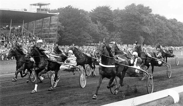 Gunnar Dear Gold Cup 72 (1).jpg