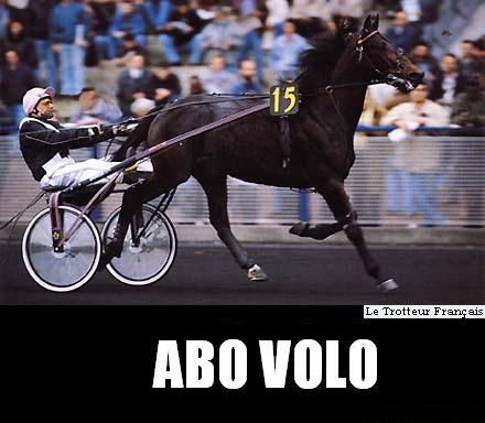 Abo-Volo-00.jpg