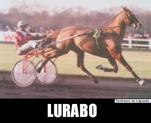 ob_4f74fb_lurabo-sp-ac.jpg