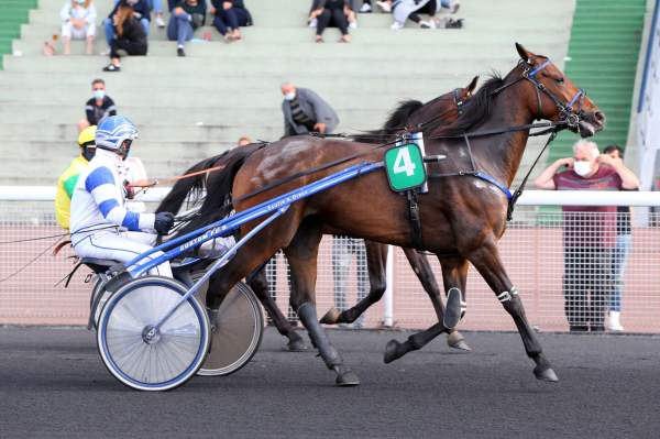 MD_00176113-028-scoopdyga_ETOILE_DE_BRUYERE.jpg