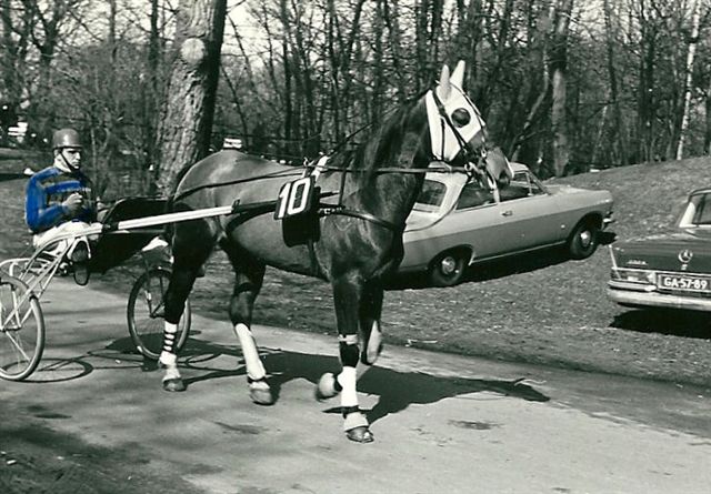 Dyveke D 02.jpg