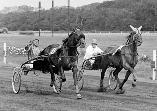 ANP Guy Hanover II 21-7-68 a.jpg