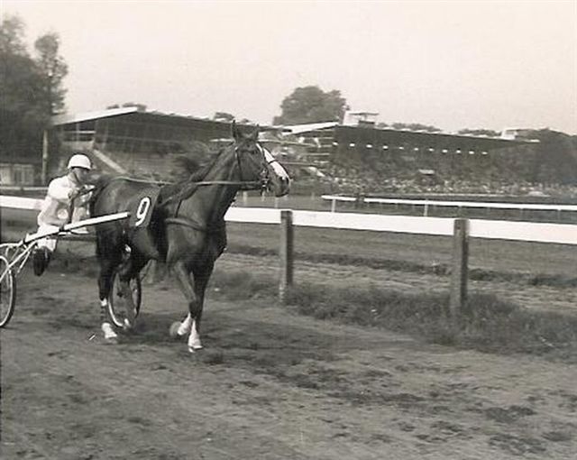 Gold Westlandia 01.jpg