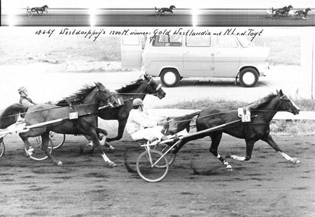 Gold Westlandia 18-6-67 (1).jpg