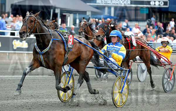 Mellby Free mål.t5d0a6ae9.m600.w.4salnwmark2.png.xV32NYHrr.jpg