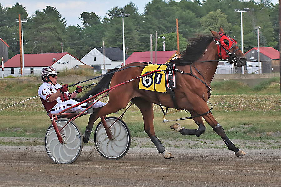 06-69-21-Trotting_For_Cash-W-CASE-JR.jpg