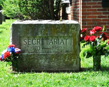 Secretariat_copy_16f86423-37d5-4d13-8343-41dcba5dab87.jpg