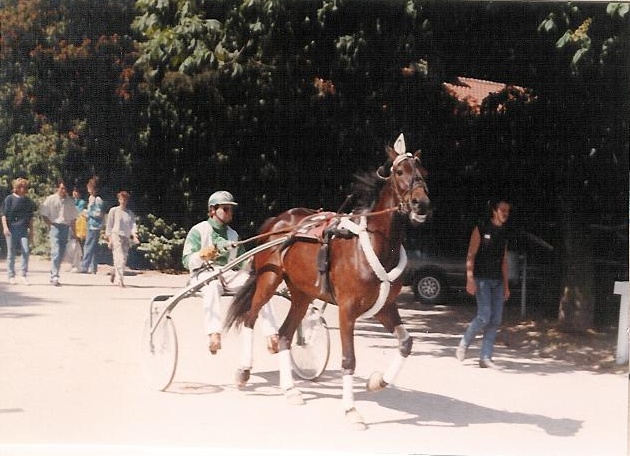 Bekila Ludwig 01.jpg