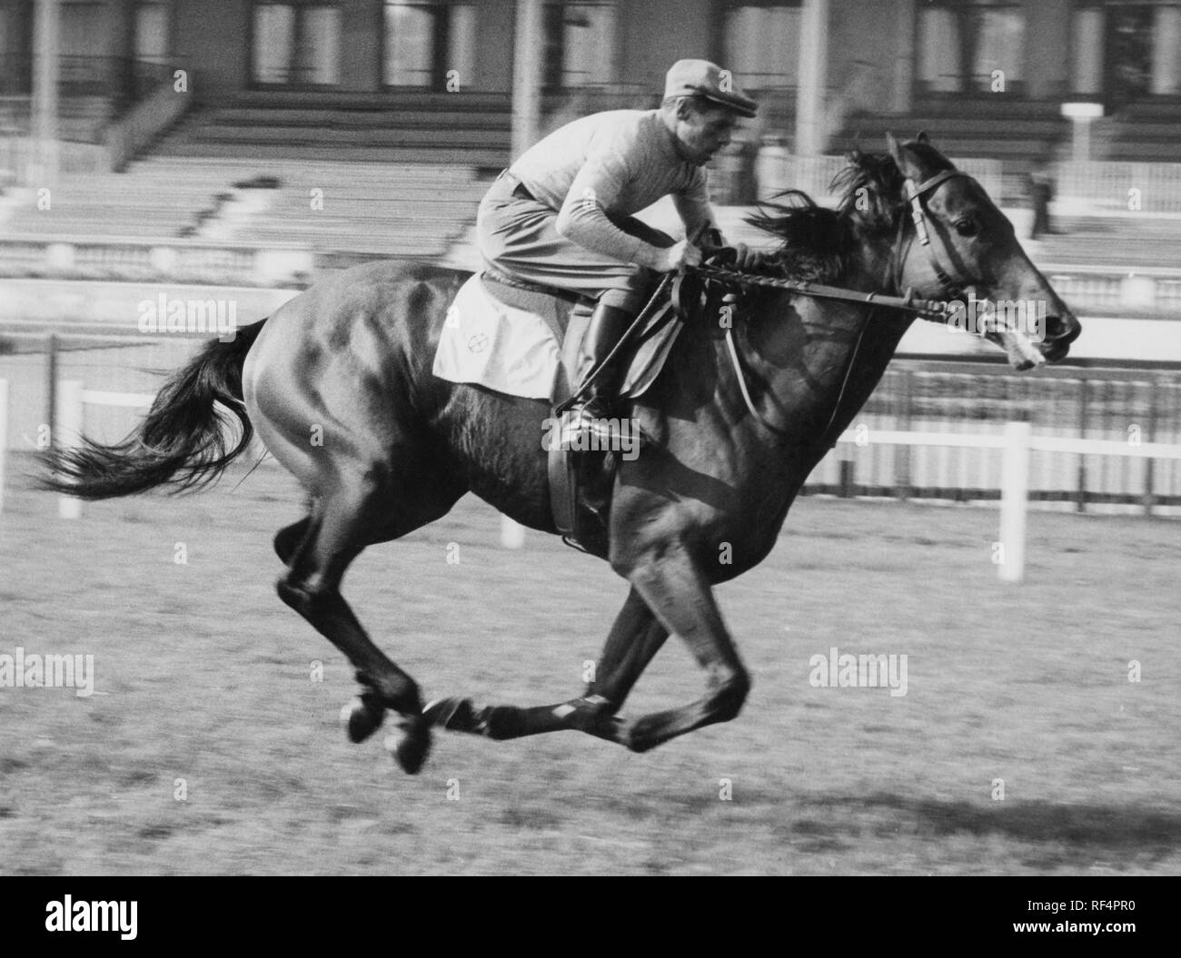 enrico-camici-and-ribot-1950-60-RF4PR0.jpg
