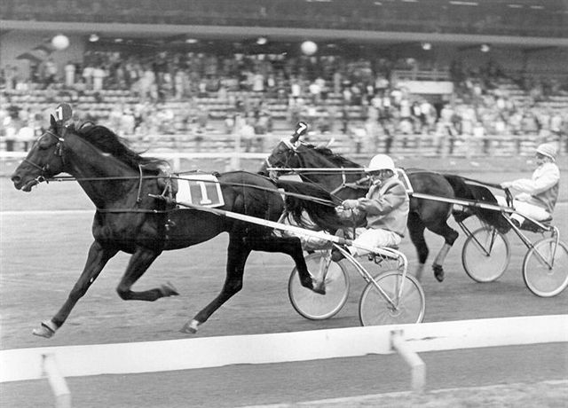Raymond 17-6-81.jpg