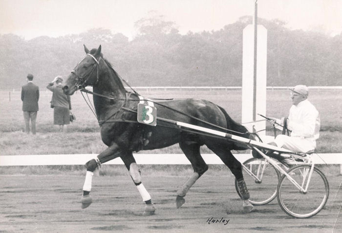 Harley in 1961.jpg