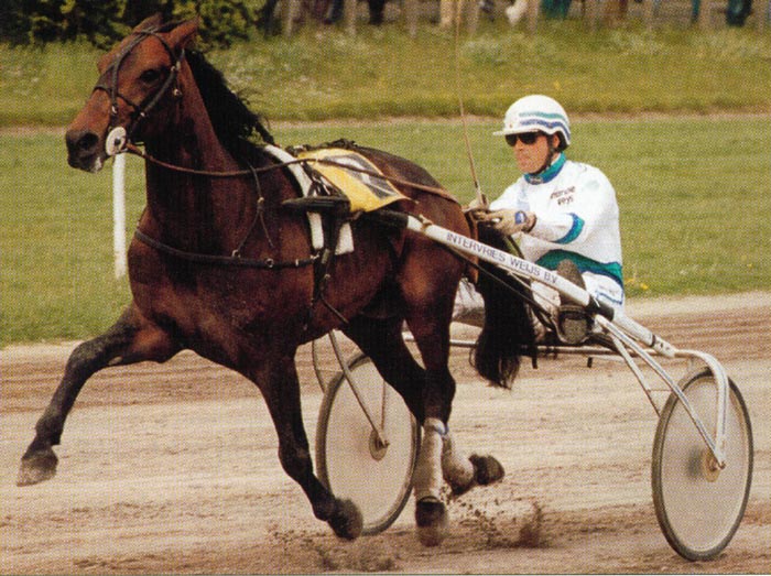 Hayo Oldeson (1).jpg