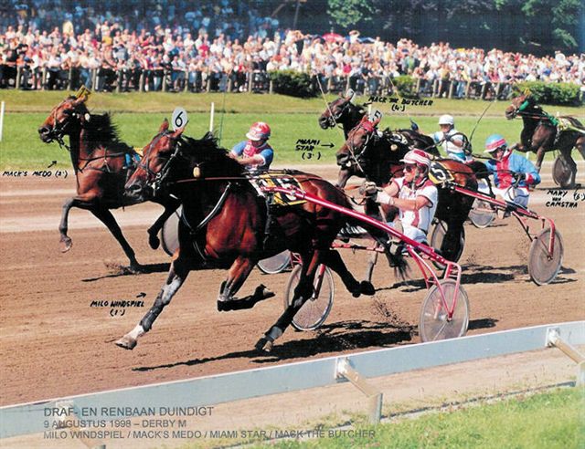 Milo Windspiel wint Derby.jpg