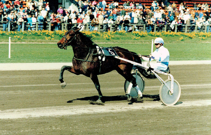 Hayo Oldeson 28-3-1993.jpg