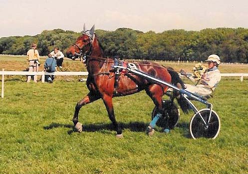 Idhuna Norton 01.jpg