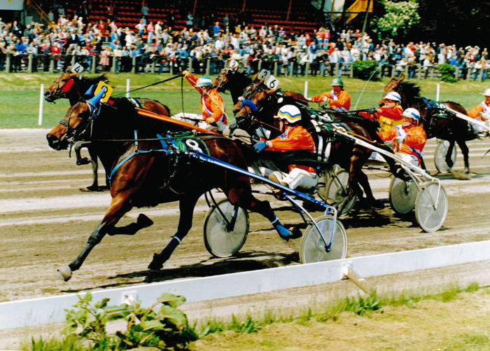 Idhuna Norton N-B 1995 (1).jpg