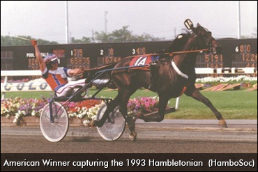 %2FAmerican-Winner-1993Hambo-370px.jpg