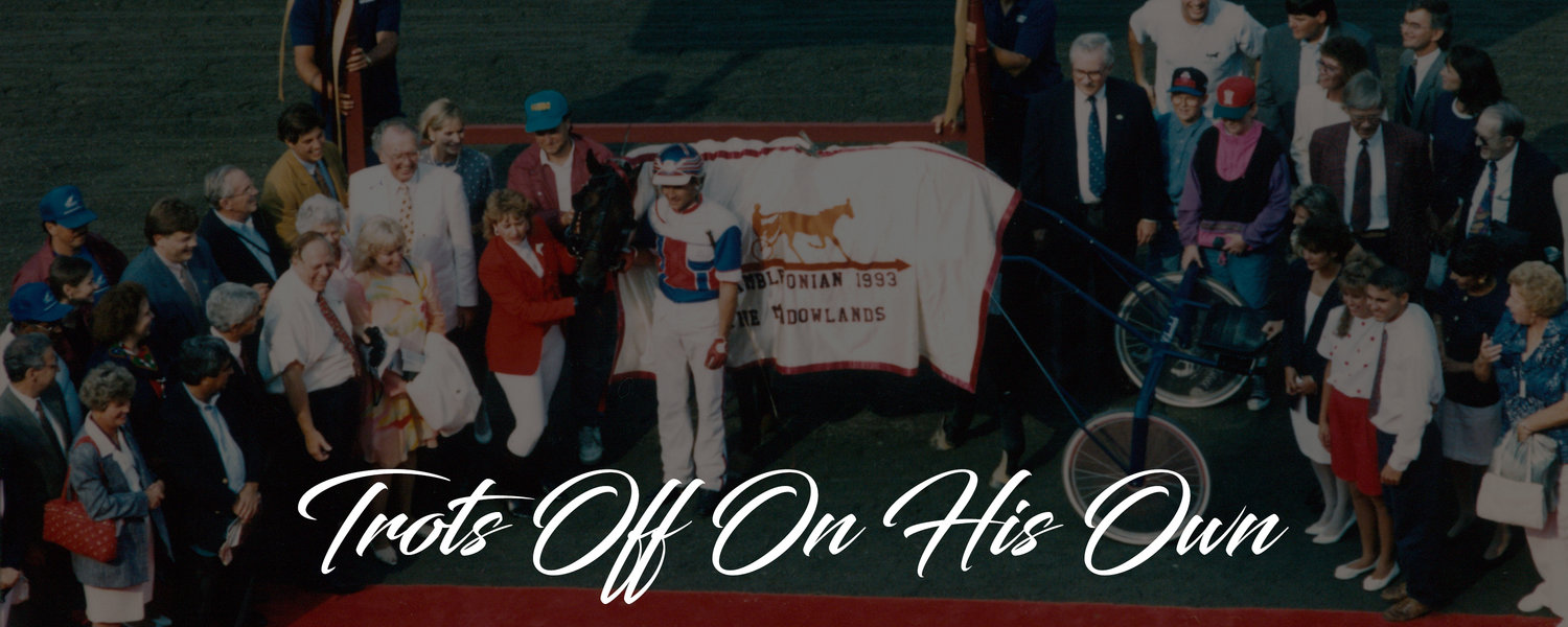 history+banner+1993.jpg