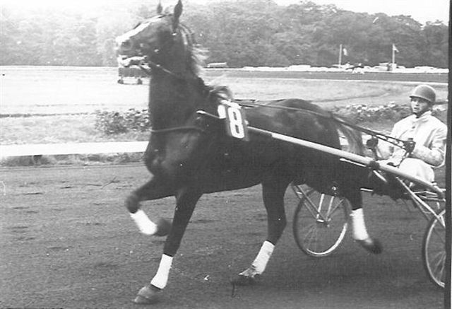 Goudvos Derby 4e (1).jpg