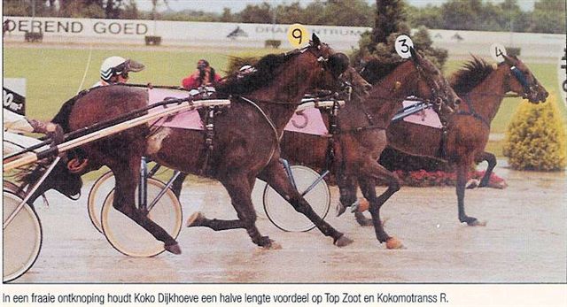 Koko Dijkhoeve KvN 01.jpg