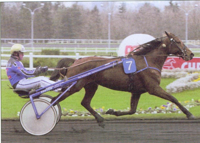 Koko Dijkhoeve Vincennes.jpg