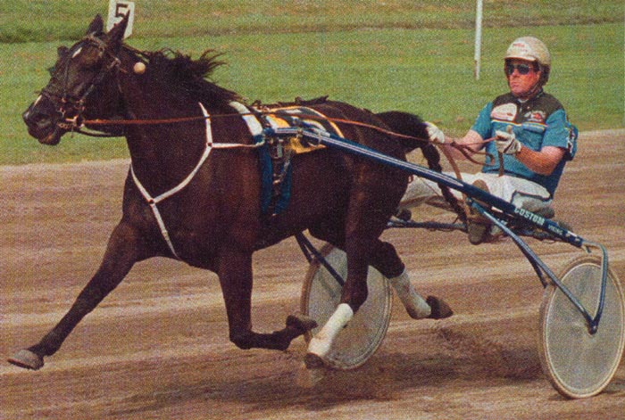 Kim Wielinga 2.jpg