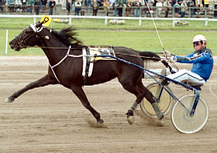 Kim Wielinga.jpg
