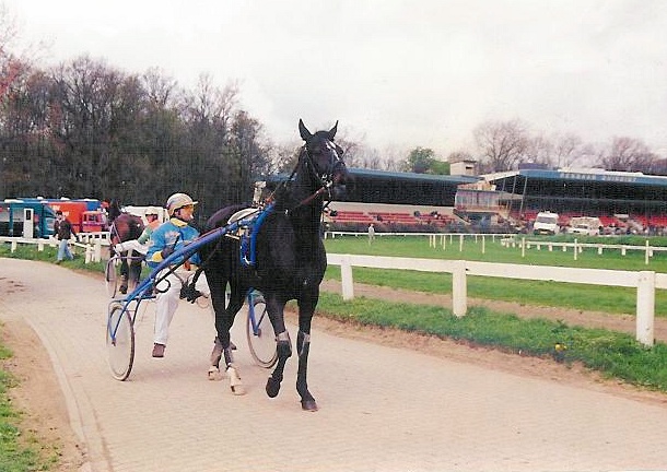 Linette B 01.jpg