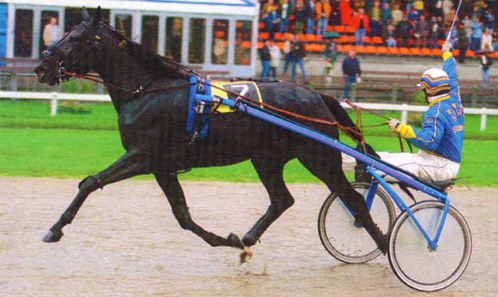 Linette B.jpg