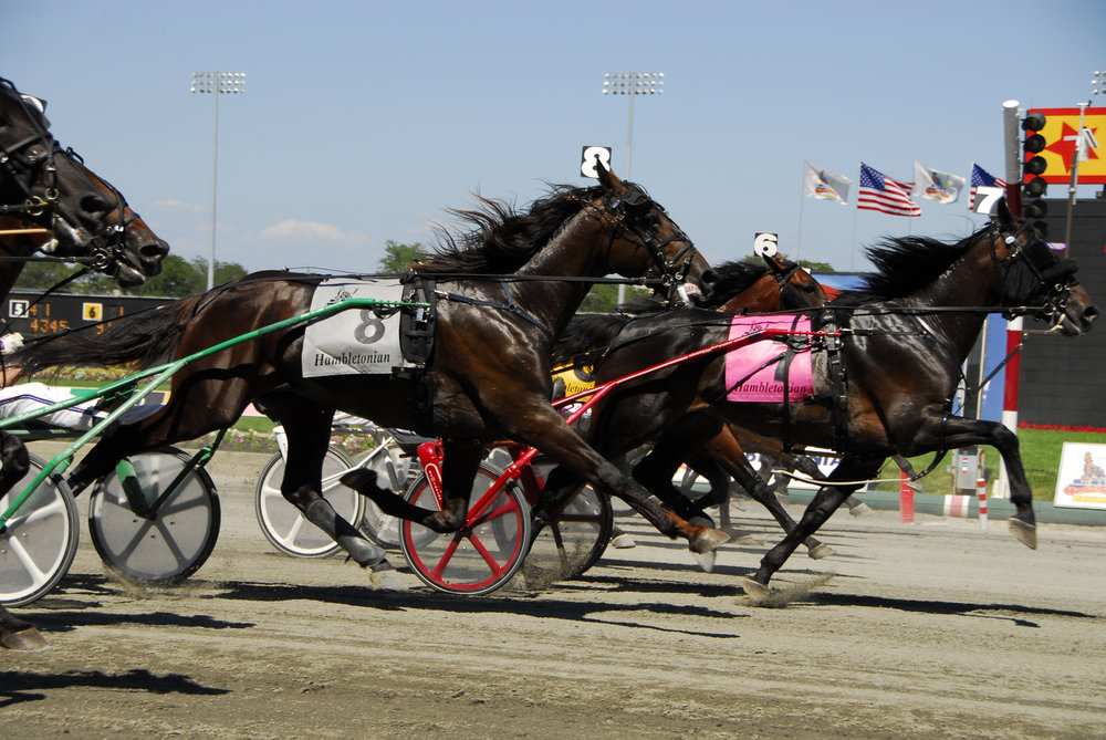 Hambo+start+BW.jpg