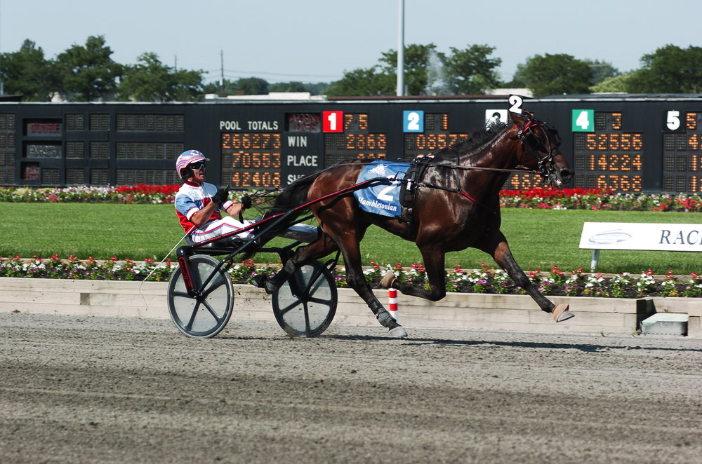 Donato+Hanover+race+2.jpg