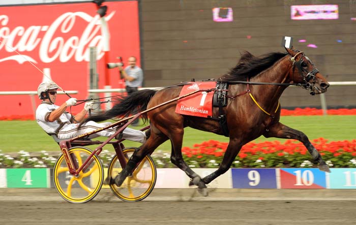 Muscle Hill Hambo.jpg