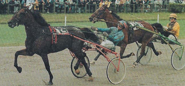 Out of the Blue 4j-stakes.jpg