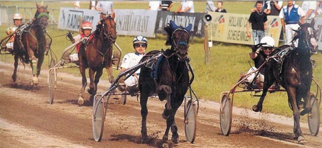 Offspring Nevele Derby 2 (1).jpg