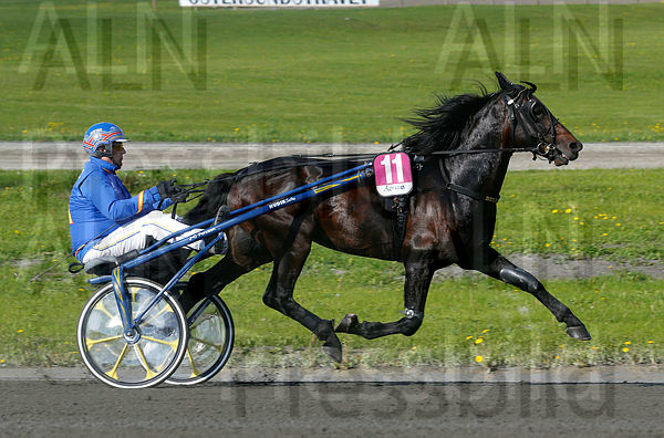 Bellfaks heat 1.t5d0bb12c.m600.w.4salnwmark2.png.xaILpfVqa.jpg
