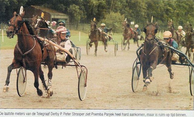 Paul W Boko Derby (2).jpg