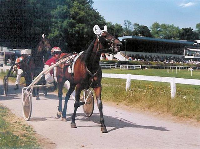 Rhythm and Speed 01.jpg