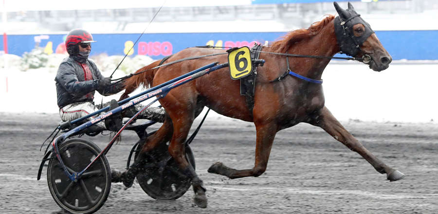 inoubliable_vincennes_160121_aprh_opt.jpg