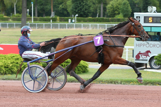 havanaise_enghien_aprh.jpg