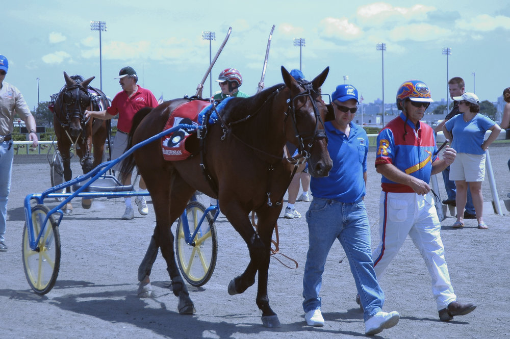 05+Hambo+Vivid+Photo+back+paddock.jpg