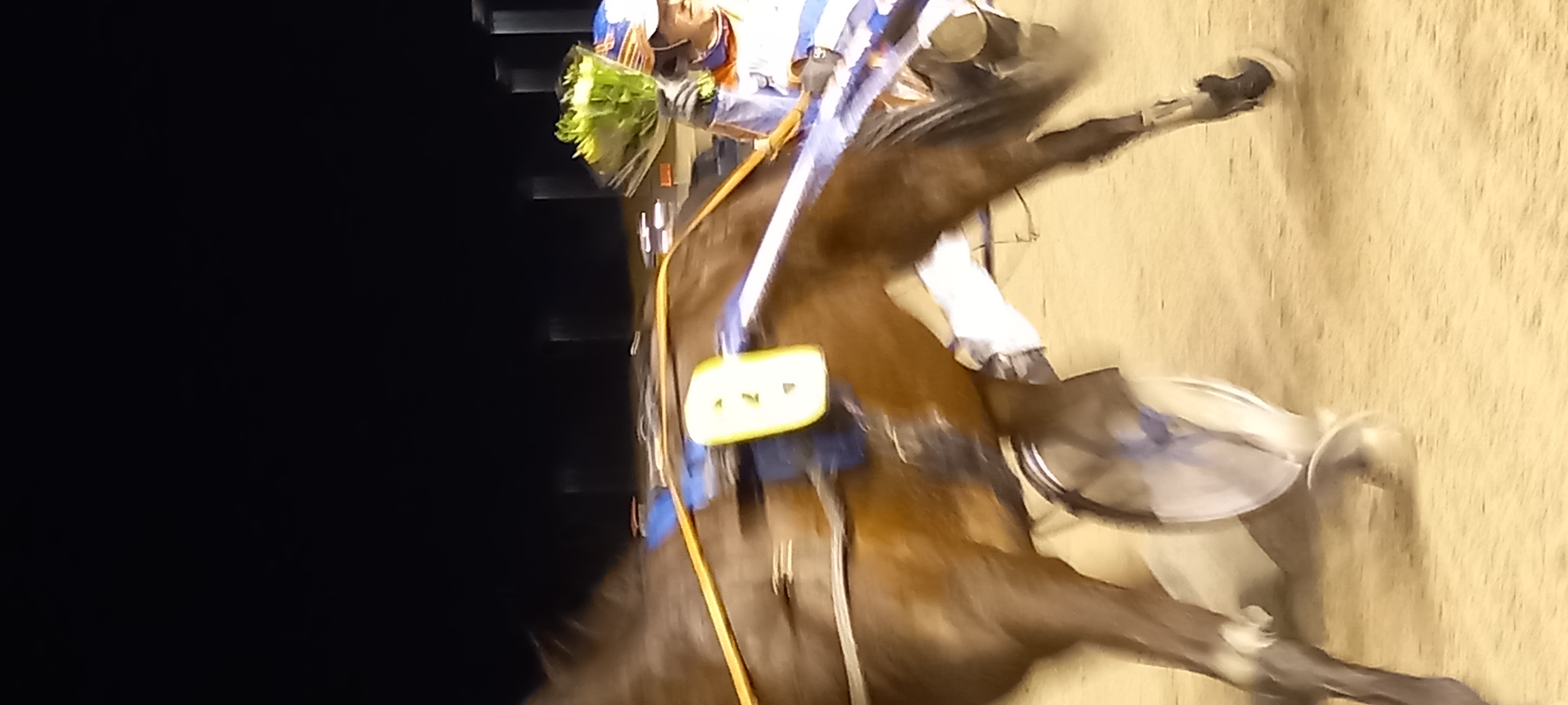 20220128_180613.jpg